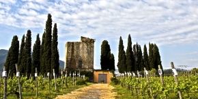 Menu Luglio